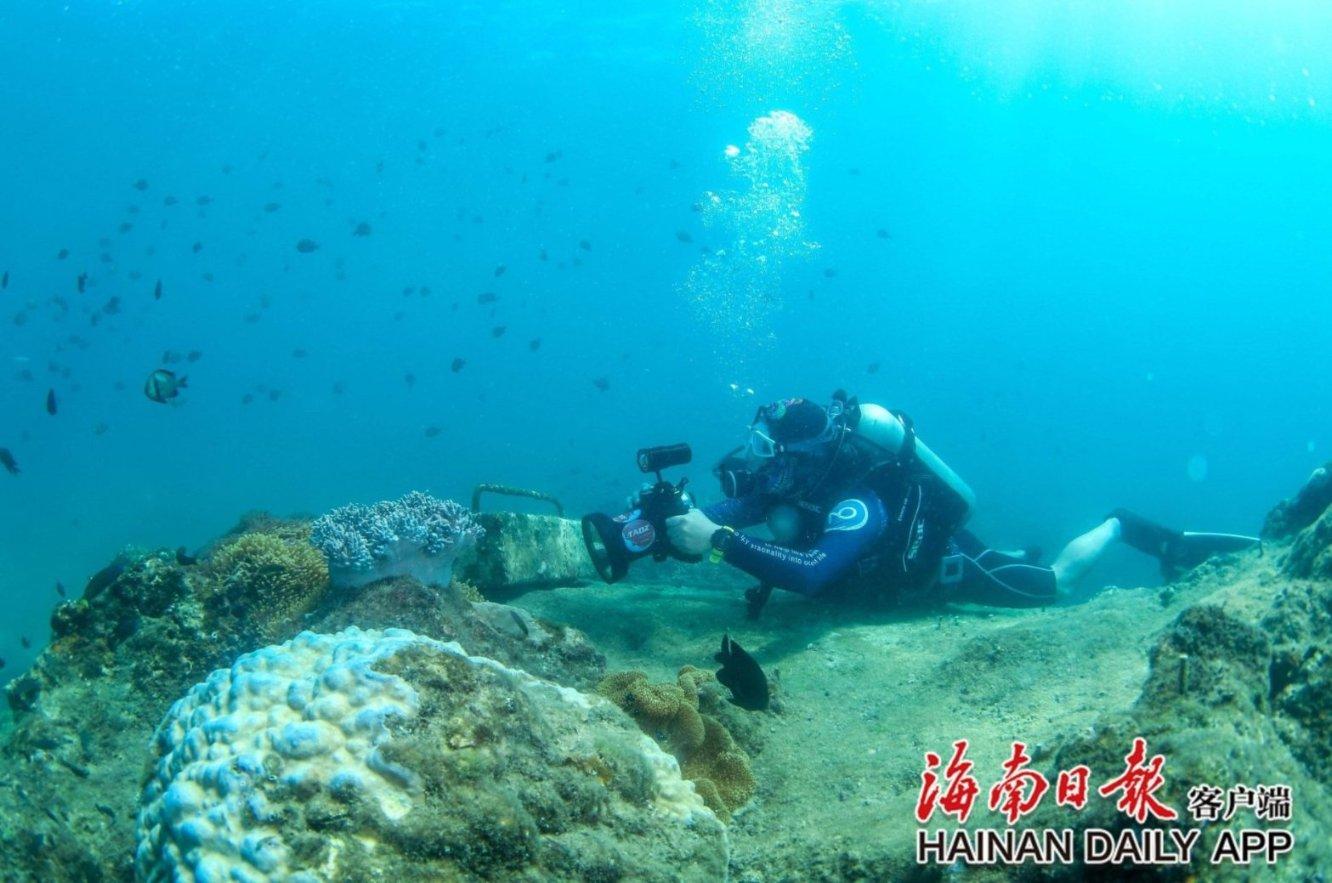 全民剧本大师内置菜单